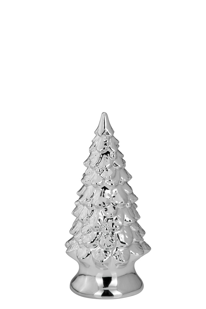 Tannenbaum auf Fuß 6283