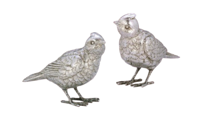 Vogel-Paar