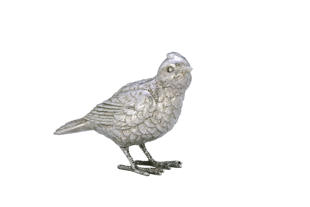 Vogel-Paar