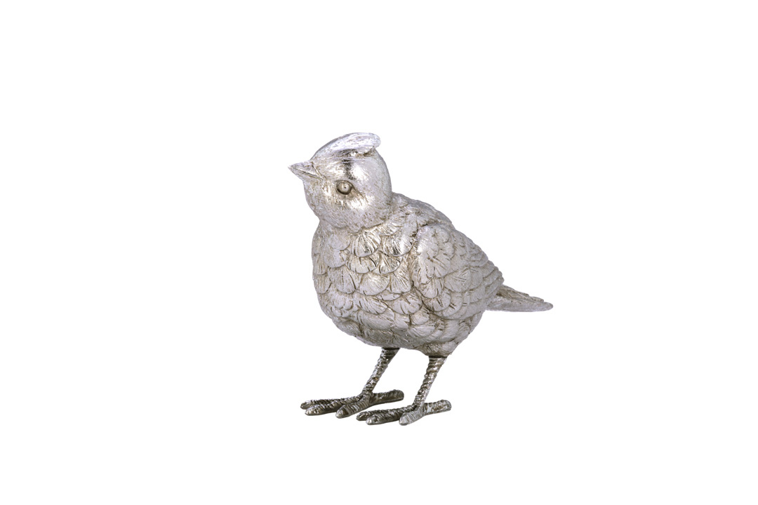 Vogel-Paar